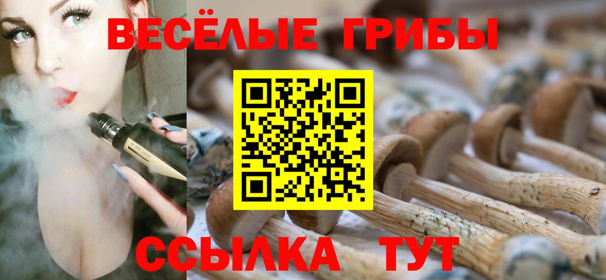 Псилоцибиновые грибы мицелий  Псилоцибиновые грибы Psilocybine cubensis  Вход с VPN  Фрязино 
